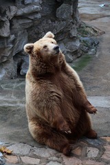 IMG_5425.jpg