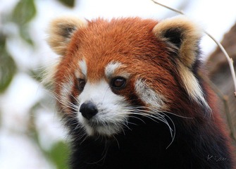 IMG_5428.jpg