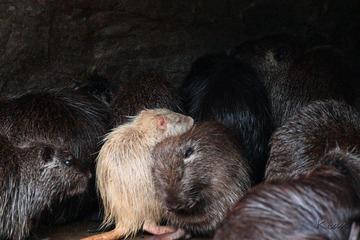 IMG_5361.jpg