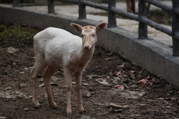 IMG_5489.jpg