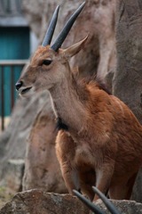 IMG_5500.jpg