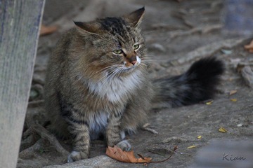 IMG_5549.jpg