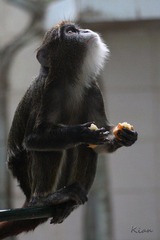 IMG_5609.jpg