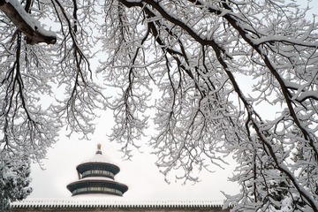 3月，一场瑞雪降临北京，在玉树琼花的包围中，天坛显得格外美丽
