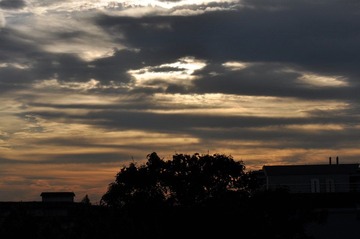 DSC_7885.JPG