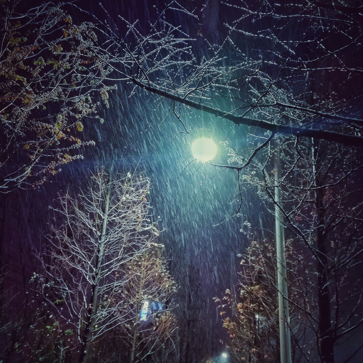 手机摄影│雪月夜