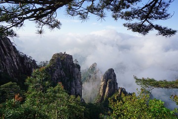 DSC00181-1