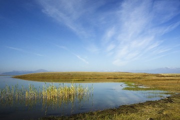 _DSC0744