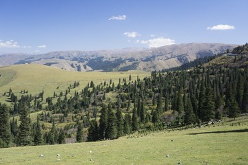 _DSC0796