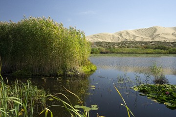 _DSC0495