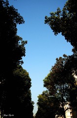 P4010459__wm
