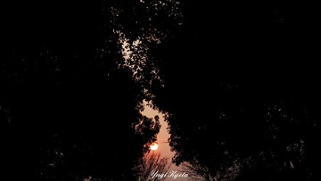P3310370__wm