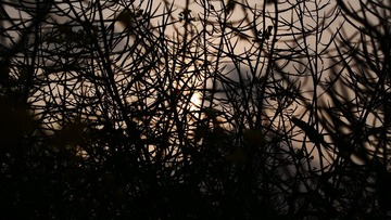 2015-04-10 07.22.24 2