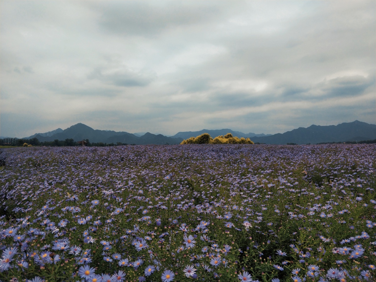天空海阔我风采