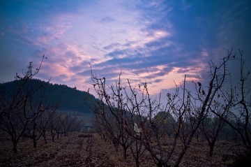 _DSC2634.jpg