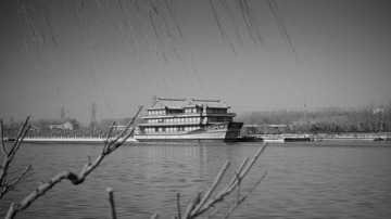 DSC04516.jpg