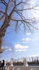 DSC05585.jpg