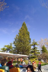DSC05629.jpg