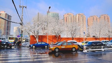 _DSF0310.JPG