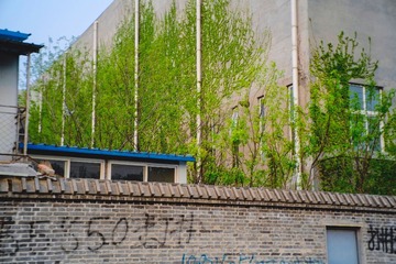 _DSF1879.jpg