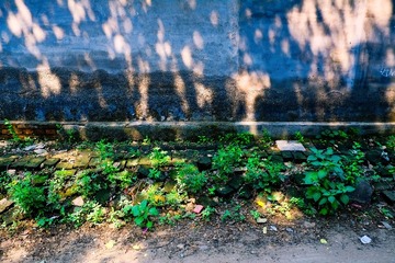 _DSF2992_1.jpg