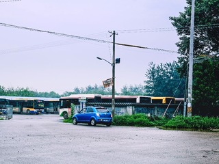 _DSF3015.jpg