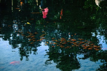 _DSF2223-编辑