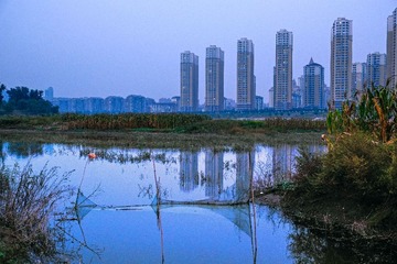 _DSF2314