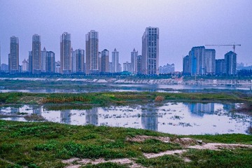 _DSF2306