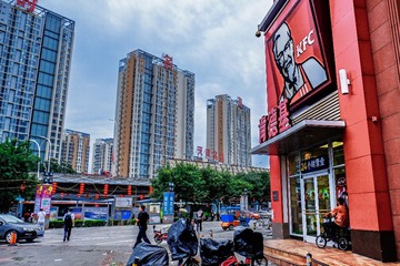 _DSF2329