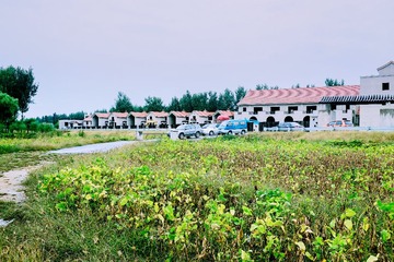 _DSF2335