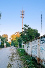 _DSF2451