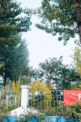 _DSF3520