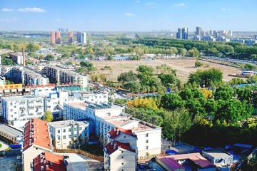 _DSF3563