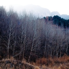 _DSF4364