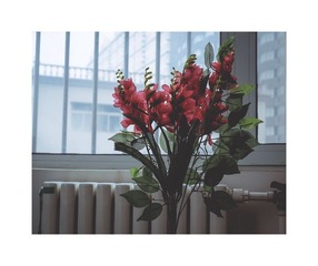 _DSF4588
