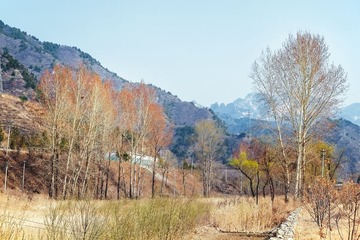 _DSF7235