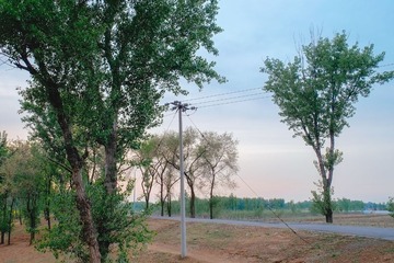 _DSF7269
