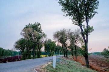 _DSF7277