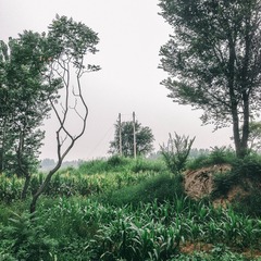 IMG_1389-1