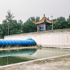 IMG_1392-1