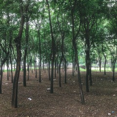 IMG_1401-1