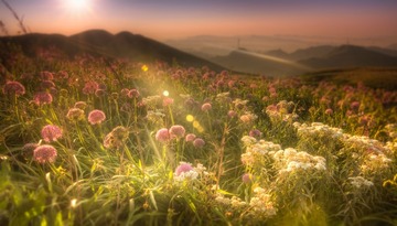 _MG_2892-编辑_3-编辑_4-编辑_tonemapped-2 拷贝