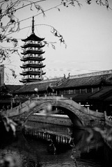 00012625-2.jpg