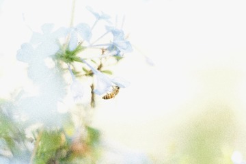 0D0402DB-E10E-4EA1-8E1F-3C8D0B9712E5/L0/001