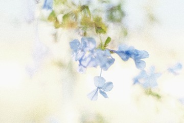 66CA79ED-BD9D-40E7-8676-87D1DA5521E2/L0/001