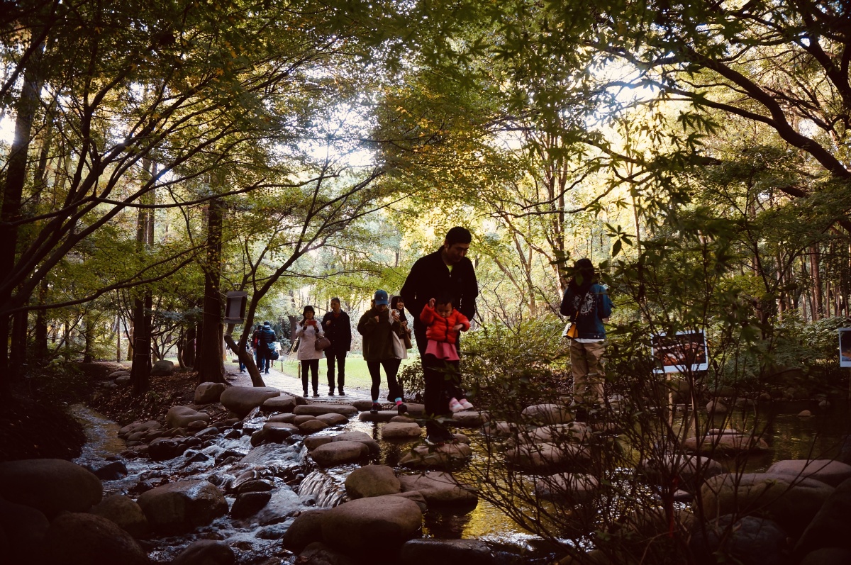 秋游- 摄影师153991800366902 - 图虫