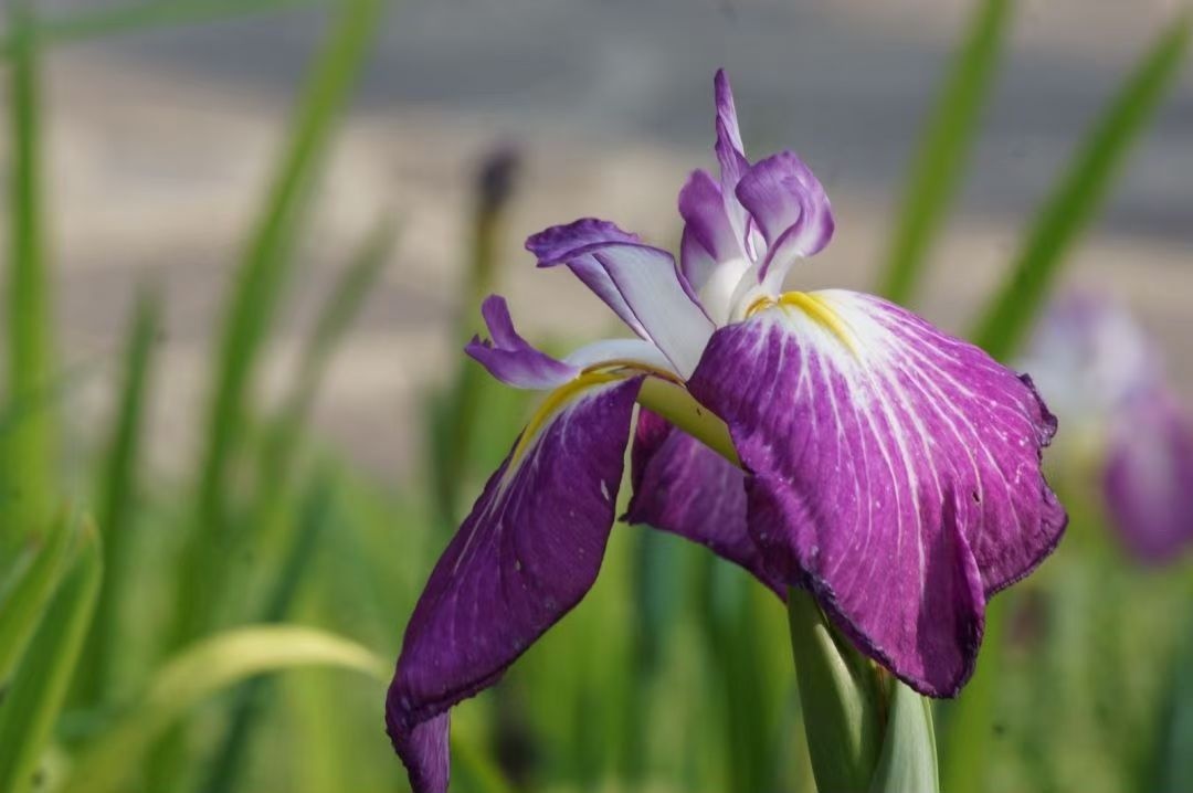 打开微信,使用"扫一扫"即可将网页分享之朋友圈 转发到小组 举报