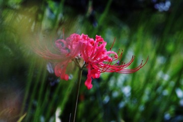 67605AFF-8A4F-4419-B314-25A107D26069/L0/001