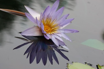 AB092330-63F0-4D40-8DBE-2C07883B39A1/L0/001